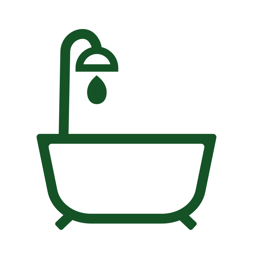 icône sanitaire vert